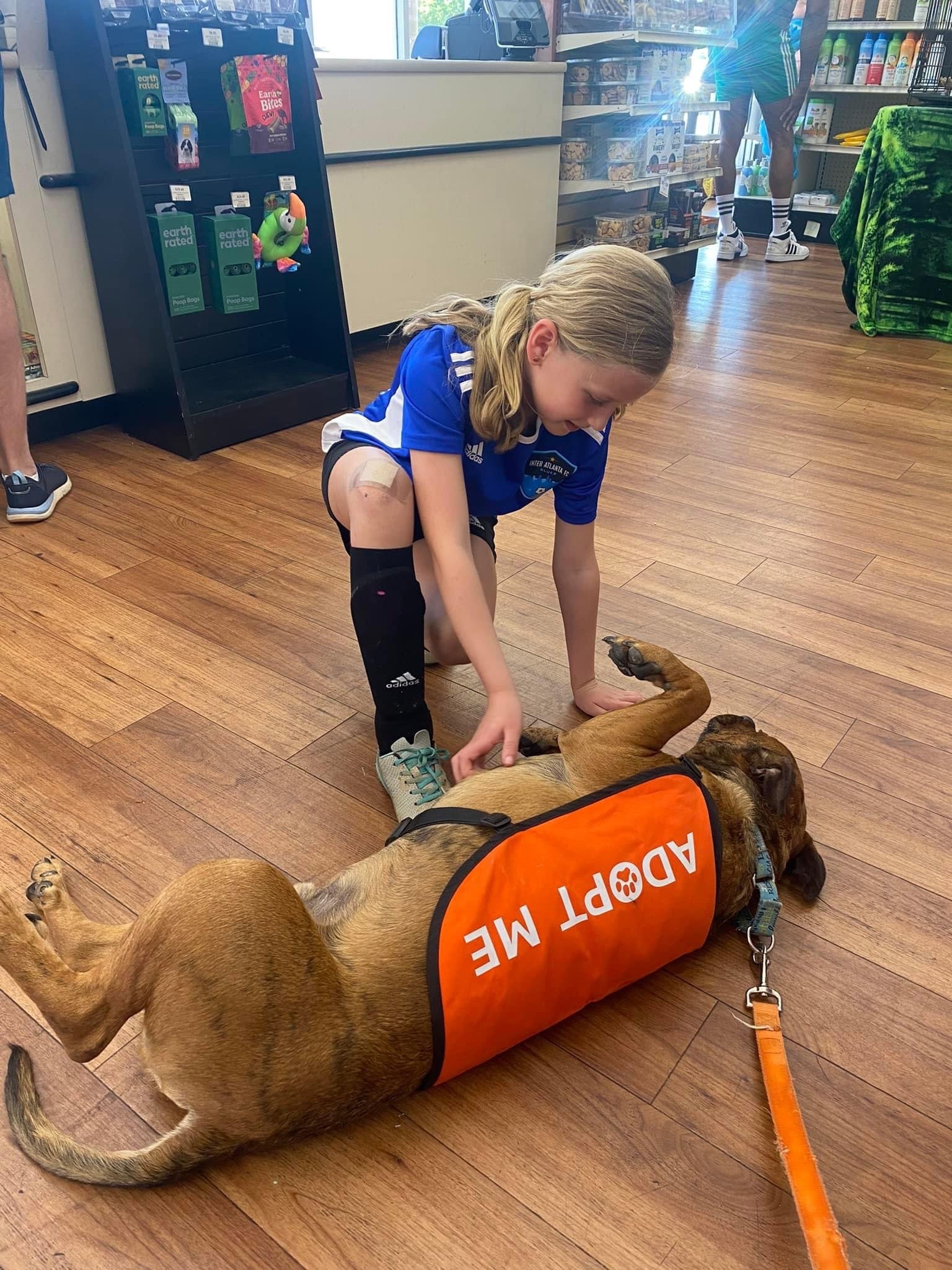 Child petting rescue dog in Adopt Me vest at pet store