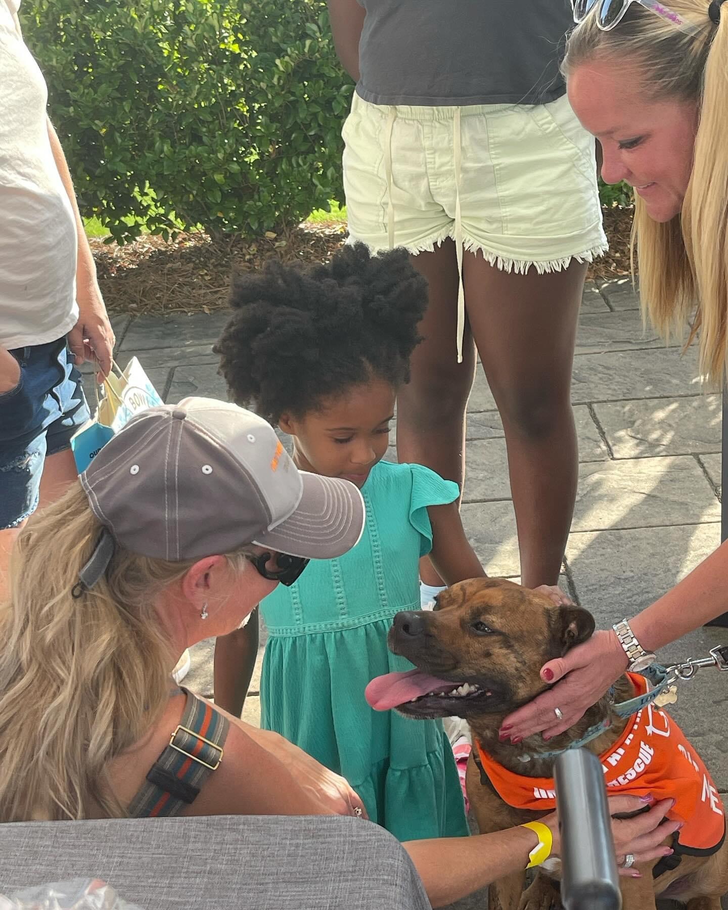 Community members meeting rescue dog at outdoor event
